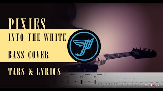 Into the White – Pixies – Bass cover with tabs amp lyrics [upl. by Yesnikcm]