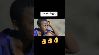 new ethiopian comedy movie 2024 [upl. by Keg]