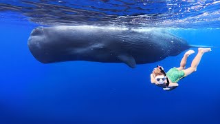 BIG SPERM WHALES Swimming with Little Kids Underwater Bucket List Family Adventure in Mauritius [upl. by Agostino]