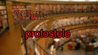 What does protostele mean [upl. by Oile]