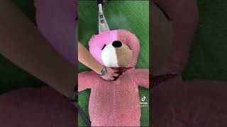 steam cleaning teddy bear  Teddy Bear vacuum  clean teddy bear without washing [upl. by Atokad]