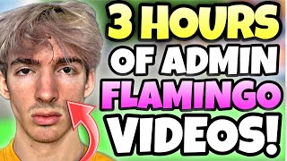 3 HOURS OF FLAMINGO ADMIN VIDEOS TO FALL ASLEEP TO [upl. by Hare316]