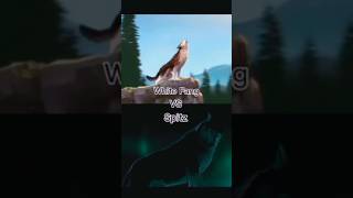 White fang vs spitz edit short foryoupage viralshort predictions search youtubeshorts [upl. by Favrot]