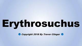 How To Pronounce Erythrosuchus [upl. by Fabiolas]