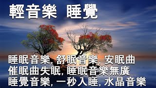 🔴【100 無廣告 放鬆音樂】深度睡眠雨聲放鬆音樂治療音樂舒壓按摩音樂 睡眠音樂療癒音樂鋼琴音樂波音鋼琴曲輕音樂輕快BGM純音樂钢琴曲轻音乐放松音乐 [upl. by Donetta]