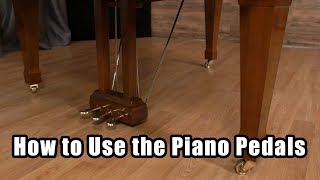 Piano Pedals Explained 2 vs 3 Pedals amp Their Functions [upl. by Ylecic]