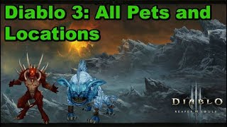 Diablo 3 All Pets And Locations [upl. by Brandie]