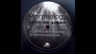 Morphology  Turbidite Sequence Abstract Forms 2003 [upl. by Arabele]