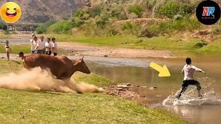 Funny amp Hilarious Peoples Life 😂 12  Try not to Laugh  Funny Fails Compilation 2024 [upl. by Sarine]