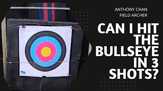 Target Archery  Bullseye in 3 shots fieldarchery recurvebow [upl. by Griswold]