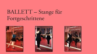 Klassische MiniBallettStange für Fortgeschrittene [upl. by Mattheus]