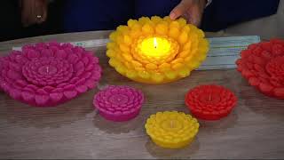 HomeWorx by Harry Slatkin Farmstand Citronella Flower Candle on QVC [upl. by Bond948]