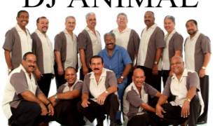 gran combo Mix ANIMAL DJ [upl. by Llacam28]