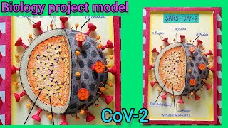 Covid19 project model  Corona virus model kaise banayen biologyprojectscienceproject [upl. by Setarcos]