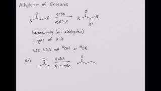 CHEM 222 Alkylation of Enolates [upl. by Airrotal]