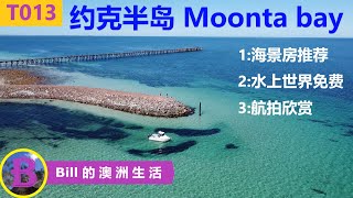 约克半岛Moonta Bay之旅  经济实惠的海景旅店推荐  小孩离不开的水上世界全免费  钓鱼 喂海鸟 航拍Moonta Bay Jetty [upl. by Pitzer]