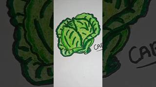 Drawing of Cabbage 🥬 easy Vegetables drawing 🎨 shorts art youtube 😀😀 [upl. by Ecirtael]