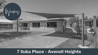 7 Iluka Place  Avenell Heights [upl. by Uot]