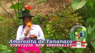 AMOROSITA DE YANANACO  VILCASHUAMAN [upl. by Assecnirp]