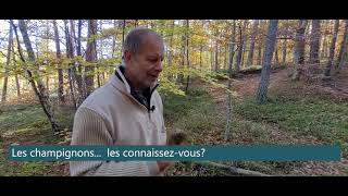 L Univers des champignons avec Philippe LAUNE  Mycologue [upl. by Edrahs]