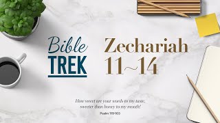 Bible Trek NIV Zechariah 1114 20230926 [upl. by Sarchet]