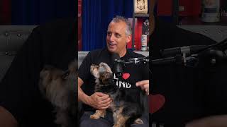 Joe Gatto on where he stands with the Impractical Jokers [upl. by Warner]