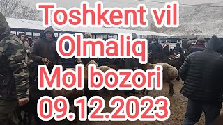 Toshkent vil Olmaliq shahri mol bozori 09122023 998990858363 👈👈admin [upl. by Kalindi]