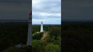 Family Holiday to Fraser Island K’gari shortsvideo shorts [upl. by Ahteral]