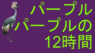 完全な背景画面パープル、パープルの12時間 [upl. by Elleirad]