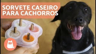 Como fazer SORVETE CASEIRO para cachorros  passo a passo [upl. by Slayton299]