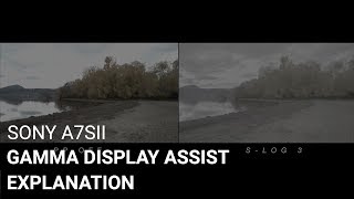 Sony a7Sii Gamma Display Assist Explanation [upl. by Lyda594]