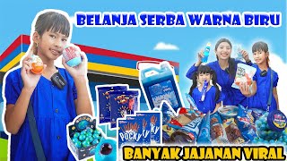 DISTA 24JAM BELANJA SERBA WARNA BIRU SEMUA DIBELI viralvideos [upl. by Morette]