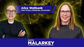 Safeguarding Privacy in Big Tech with Alice Wallbanks [upl. by Seward]