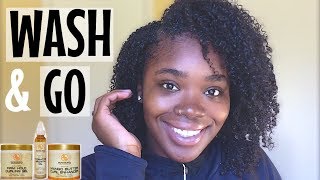 Wash N’ Go Series Ep 1  Bronner Bros Naturals [upl. by Alleuol]