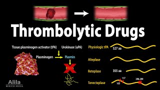 Pharmacology Thrombolytic Fibrinolytic Drugs Animation [upl. by Ano]