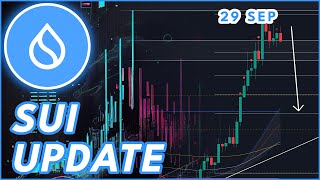 SUI UNLOCK CRASH COMING🚨  SUI TOKEN PRICE PREDICTION amp NEWS 2024 [upl. by Valentine817]