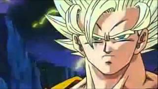 DBZ AMVGoku Warrior Disturbed [upl. by Anotal]