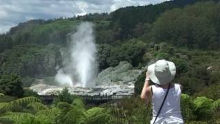 Rotorua  Geysers and Mud Pools [upl. by Aicertap]