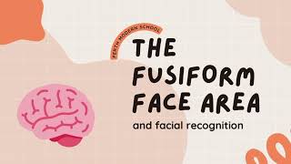 The Fusiform Face Area  Brain Bee 2023 [upl. by Kcuhc]