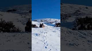 More tobogganing at Brown Clee Hill [upl. by Marius677]