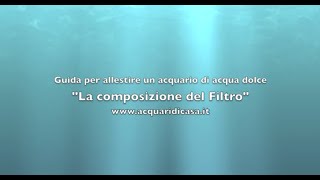 La composizione del filtro ciclo dellazoto Guida per allestire un acquario di acqua dolce [upl. by Eedoj]