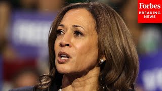 Expert Explains Why Kamala Harris And The Democrats Are Lagging With Young Black Voters [upl. by Dacy]