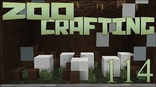 Nests and Eggs 🐘 Zoo Crafting Episode 114 [upl. by Lowe]