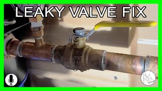 How to Fix a Leaky Water Valve Ball Valve [upl. by Quartana]