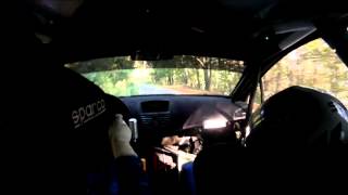 IRC Rally Sliven 2012 Petar Gyoshev Onboard Stara Reka [upl. by Aohsoj]