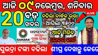 today morning News Odisha 09 November 2024subhadra yojana apply online subhadrayojana kaliatanka [upl. by Anasiul]