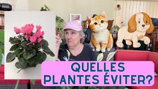 Quelles plantes sont toxiques pour les animaux  capsule horticole [upl. by Devona189]