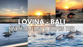 BALI vlog 5 Lovina Bali Sunrise Watching  Lovina Dolphin Tour  Lovina affordable stay  Bali [upl. by Efrem]