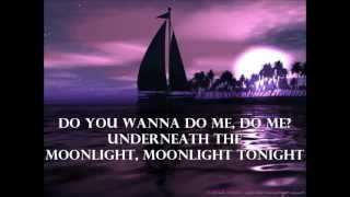 In the Moonlight  Dylan lyrics [upl. by Ahtreb]