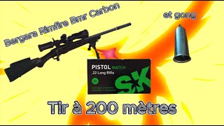 💥Bergara Rimfire Bmr Carbon SK Pistol Match tir à 200 mètres avec lappli STRELOK Pro💥 [upl. by Sergo]